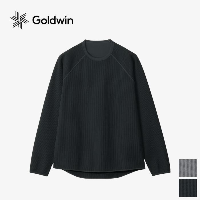 goldwin25017-1.jpg