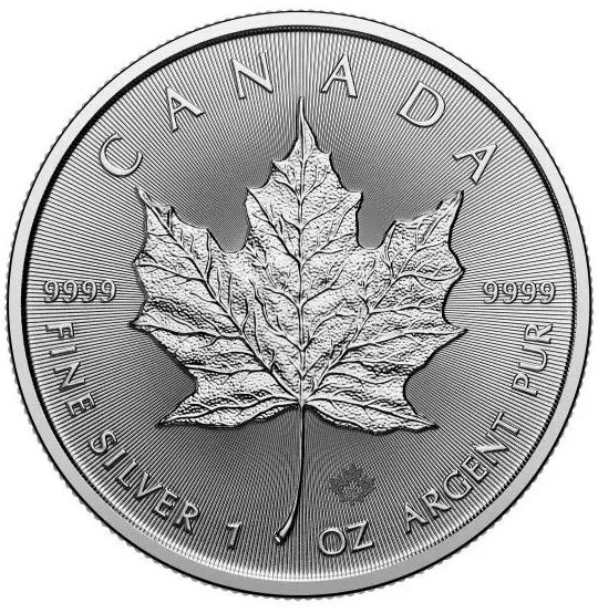 【2024年】メイプルリーフ銀貨 1oz 10枚セット クリアケース入り メープルリーフ銀貨 1オンス メイプル銀貨 メープル銀貨 /シルバー/99.99%（純銀）(67929)