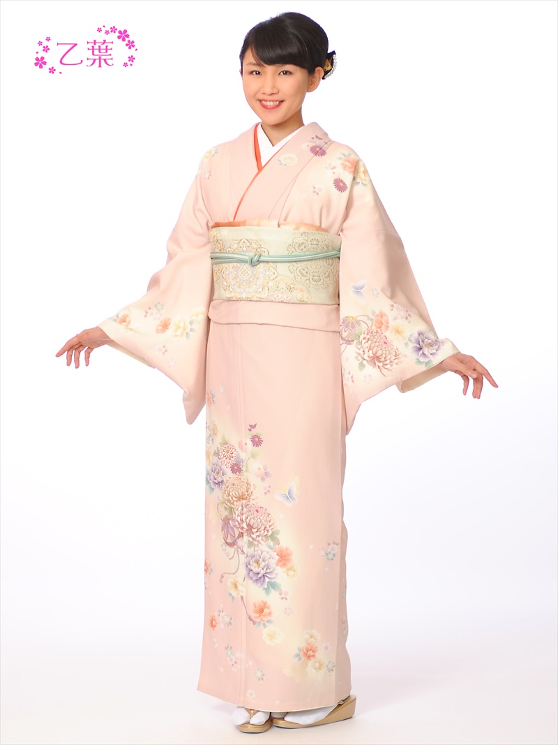 乙葉 短い訪問着 賃貸 フルセット 8AD208 乙葉ブランド名 御召しもの賃貸 賃貸御召しもの 貸御召しもの 手毬 蝶 菊名取り草 149糎～167糎位まで 足袋差し上げ物