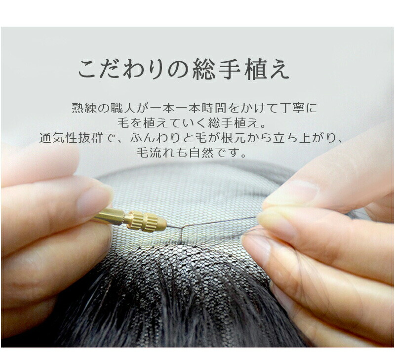 部分ウイッグの商品紹介_BHAD710