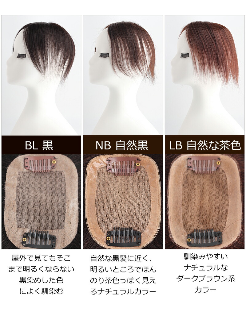部分ウイッグのカラーバリエーション_BHAD710