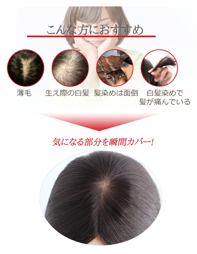 白髪隠しウイッグこんな方におすすめ画像_BHAD710