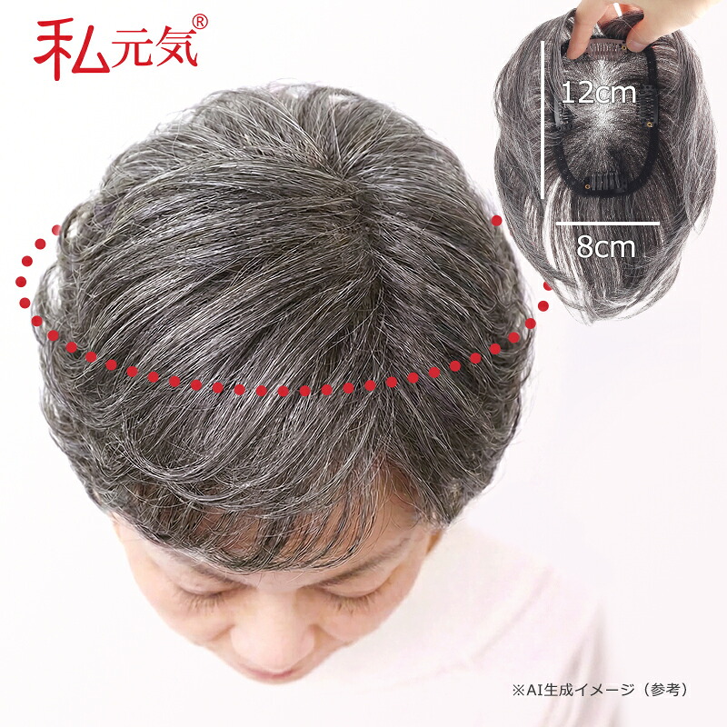 【中面積 8×12糎】白髪 分け取りウィッグ 15糎 通気性 超軽さ 人毛入り合わせる 総手植え 音の大きさ引き上げる 薄墨色髪の毛 髪の毛天下太平 つけ毛 遊撃手 お上さん レディース 増毛 薄毛打つ手 BHA812-15-W40