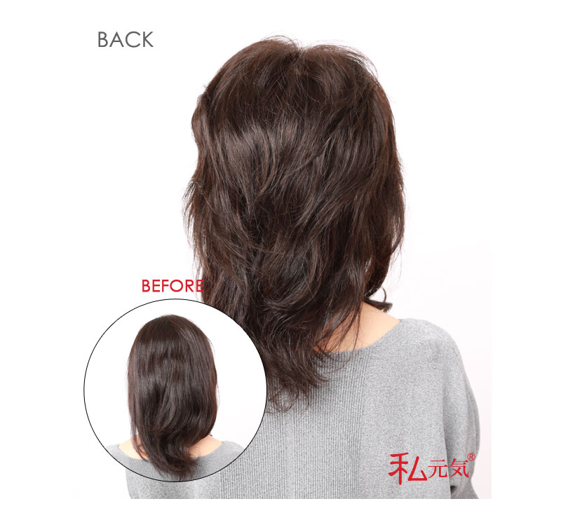 人毛100 分ウィッグ 楽天ランキング一位 人毛 ウィッグ かつら ポイントウィッグ 白髪かくし 総手植え 男性 女性 兼用 私元気 Bha2325 Tehno Market Rs