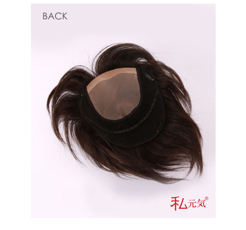 人毛100 分ウィッグ 楽天ランキング一位 人毛 ウィッグ かつら ポイントウィッグ 白髪かくし 総手植え 男性 女性 兼用 私元気 Bha2325 Tehno Market Rs