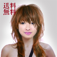 公式店舗 ウィッグ ウイッグ 私元気 上品で華やかな印象に 人毛手植 ロング Lf27hh オーダーメイド ネット付き 私元気ウィッグ かつら専門店 楽天1位 Vancouverfamilymagazine Com