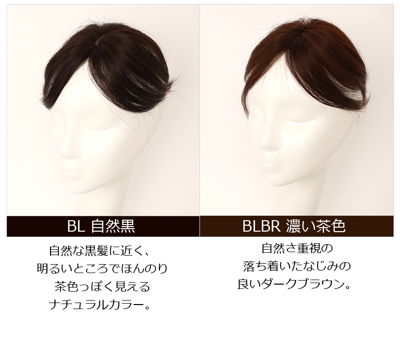 人毛 部分ウィッグ ポイントウィッグ 男女兼用 ヘアピース ナチュラル