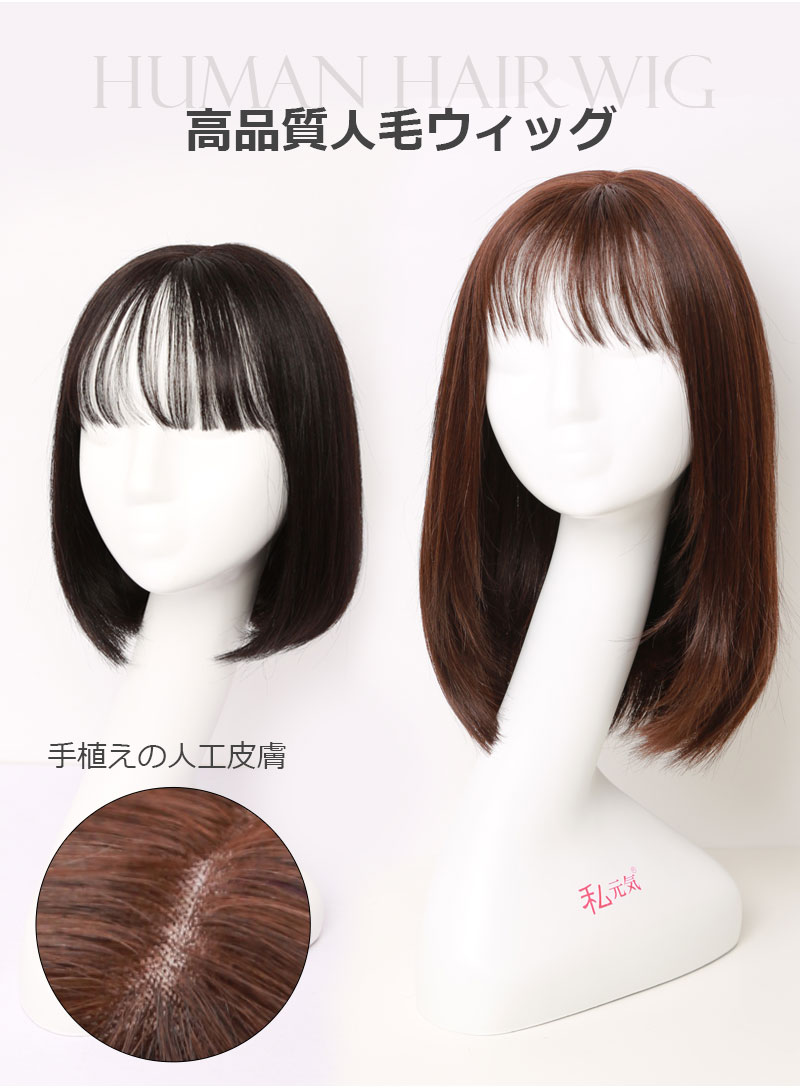 全品送料無料 人毛100 フルウィッグ 40cm 楽天ランキング1位 ウィッグ ミディアム ボブ 医療用ウィッグ 女性 かつら 自然 人毛 ミセス 私元気 Ua001 40 最安値に挑戦 Www Consulacam Marseille Fr