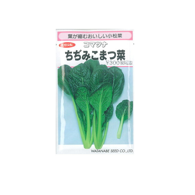 渡辺採種場 コマツナ 種 ちぢみこまつ菜 2dl｜イケダグリーンセンター