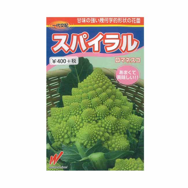 楽天市場 ロマネスコ 種 スパイラル 30粒 一代交配 イケダグリーンセンター