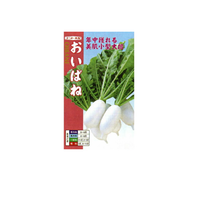 ナント種苗 ダイコン 種 おいばね 小袋