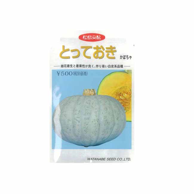 渡辺採種場 カボチャ 種 とっておき 500粒