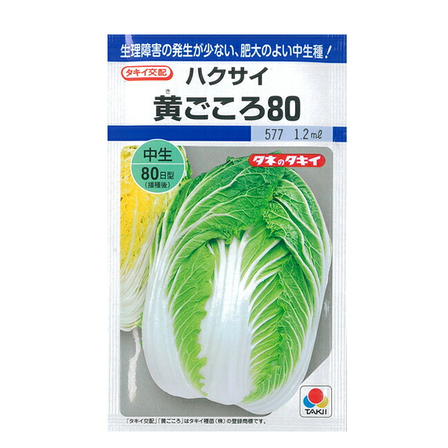 タキイ種苗 ハクサイ 種 黄ごころ80 20ｍｌ｜イケダグリーンセンター