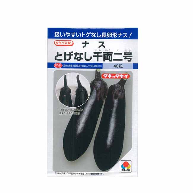 楽天市場 ナス 種 とげなし千両2号 タキイ種苗 1000粒 イケダグリーンセンター