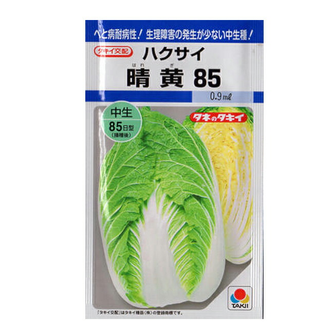 タキイ種苗 ハクサイ 20ml 晴黄85 種 トラスト 種