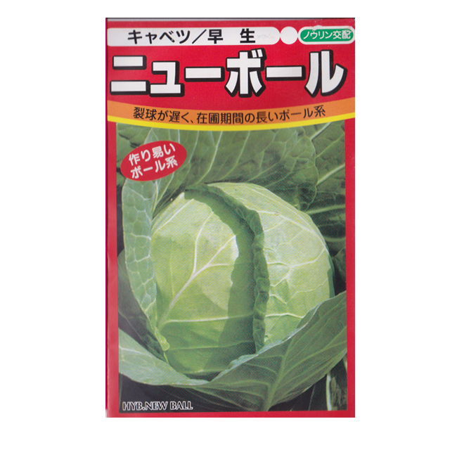 楽天市場 野菜種 キャベツ ニューボール 100粒 ノウリン交配 イケダグリーンセンター