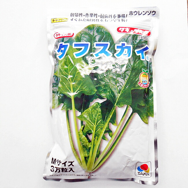 楽天市場 タキイ種苗 ほうれん草 種子 タフスカイ M3万粒 イケダグリーンセンター