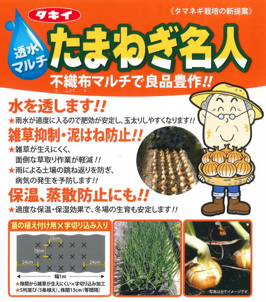 タキイ種苗 たまねぎ名人 1m 3 5ｍ