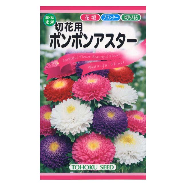 楽天市場 花の種 トーホク 切花用 ポンポンアスター イケダグリーンセンター