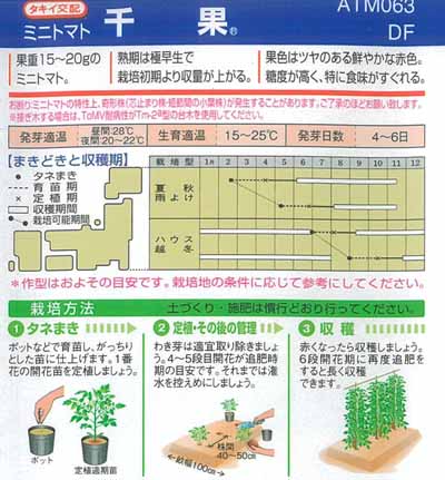 ミニトマト 種 千果 ちか 1000粒 タキイ種苗 Prescriptionpillsonline Is