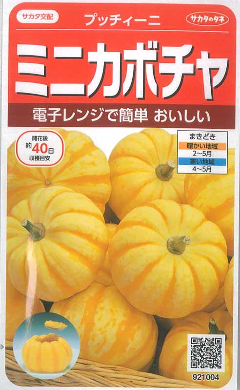 サカタのタネ ミニカボチャ 種 プッチィーニ 100粒