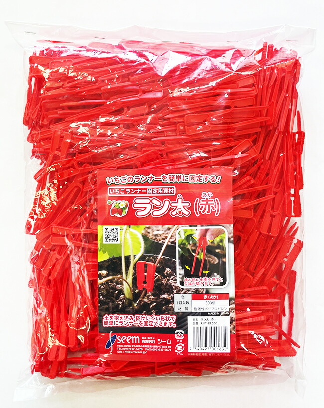いちご出品 71PW9O-pifL.jpg