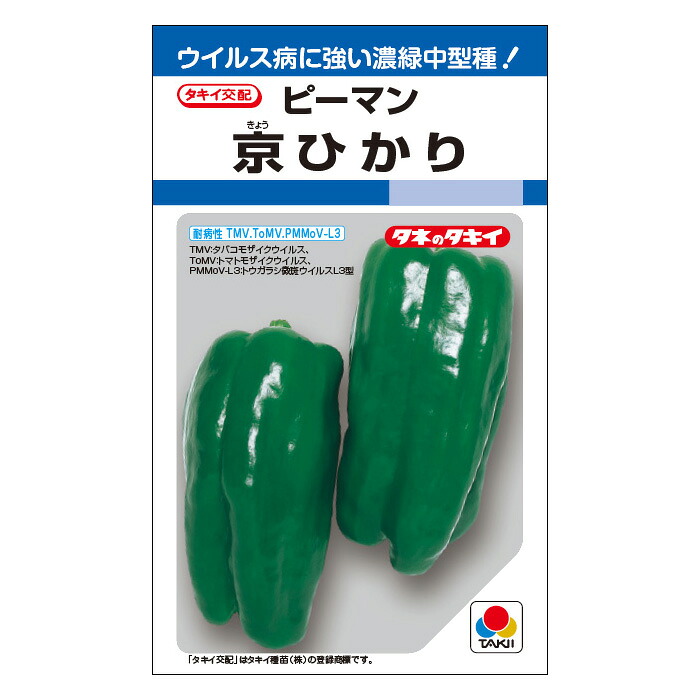 タキイ種苗 ピーマン 種 京ひかり 1000粒