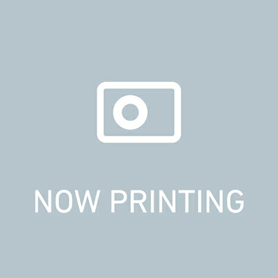 ペンギンワックス オールウェイBP-150Li用ナイロンブラシ 15インチ 業務用 ポリッシャー用品