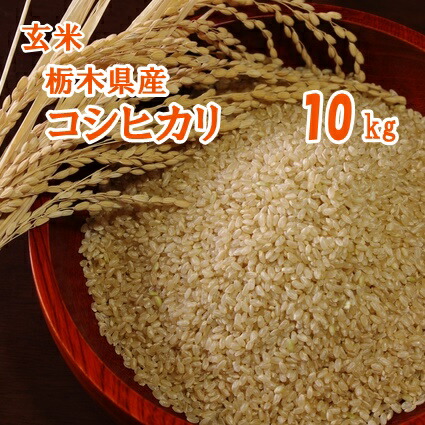 お米 栃木 10キロ【R6年産】栃木県産 コシヒカリ 玄米 こしひかり 10kg【送料込み】
