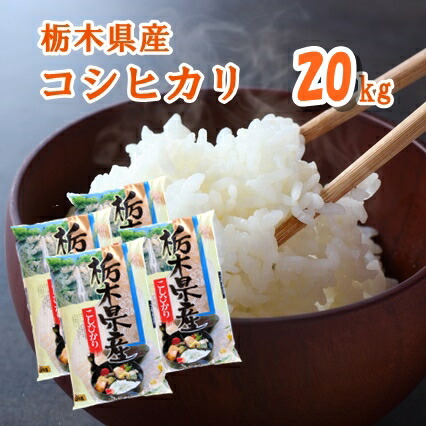 【R7年産】栃木県産 コシヒカリ精米 20kg(5kg×4袋)　白米　お米　栃木こしひかり【送料込み】