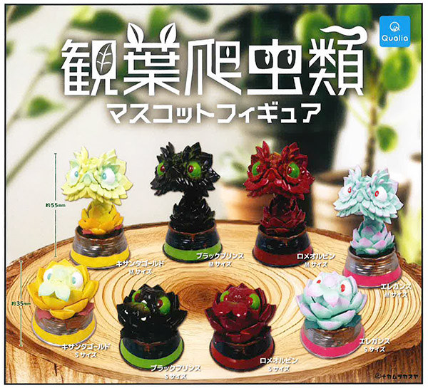 楽天市場】ぷちフィギュアコレクション キラキラサボテン