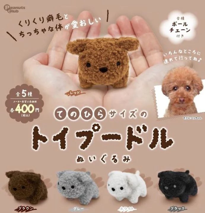 ★激レア！ジーザスディアマンテプードルぬいぐるみ2点★トイプードル☆クリスマス Amazon.co.jp: ！ジーザスディアマンテプードルぬいぐるみ2点
