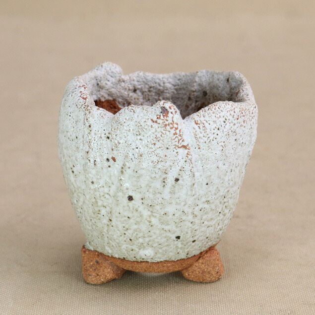 楽天市場】【盆栽鉢】竹鳳作 手造白釉丸鉢 小品サイズ （いよじ