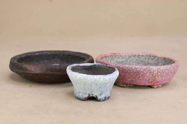 越前芳水造 赤絵 越前芳水鉢 【 21 H ― 30 】 - 小品盆栽専門店 湘風園