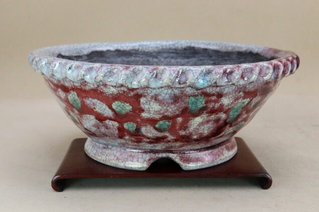 越前芳水造　赤絵 楽天市場】【盆栽鉢】 越前芳水作 辰砂釉 割れ蓋に蛙【一点物】（いよ