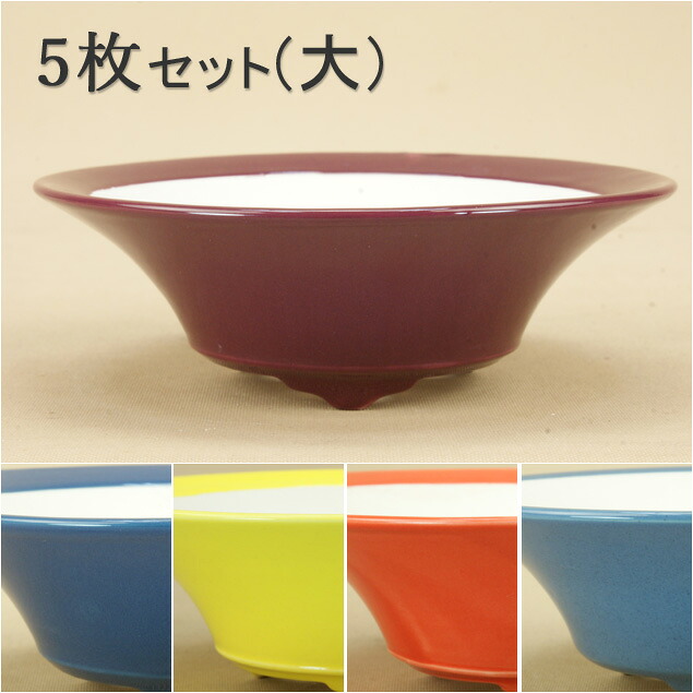 【盆栽鉢】 京焼 彩色 大き目の小品鉢 反型浅丸鉢（大）5枚セット（口径:14.5cm） 【いよじ園 伊予路園】｜いよじ園 店