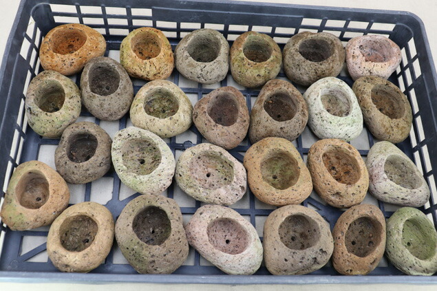 【新品】桜島産軽石 植木鉢 芥子色 楽天市場】【盆栽鉢】 桜島産 付け石 【軽石鉢】（希少な