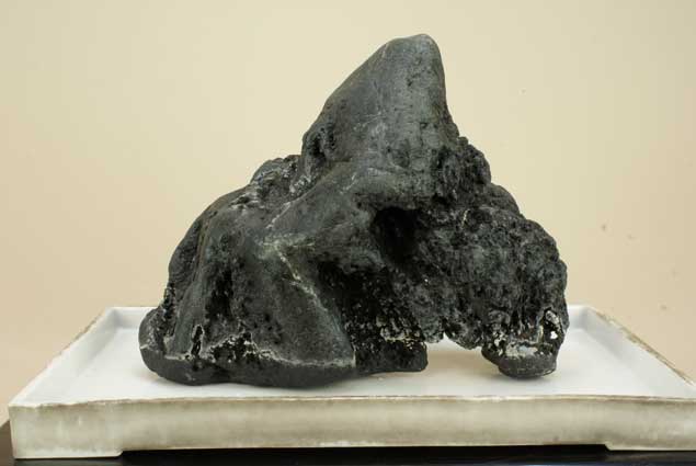 楽天市場】【水石】 仁淀川 鎧石 （高知） ミニ 天然 【自然石 鑑賞石