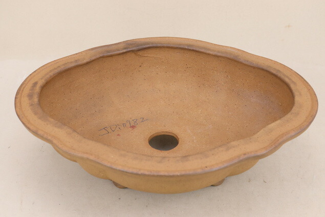 貨物輸送無料 盆栽されこうべ 時世鉢 キャッシュ号実作 かあかあ地面草木瓜鉢 中型大きさ 働きかける33 8cm 無欠 いよじパルコ Bharadwajclasses Com