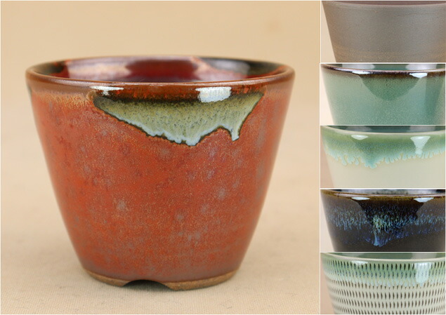 楽天市場】【盆栽鉢】 桜島産 付石 軽石鉢 （特大サイズ）【水槽