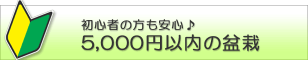 楽天市場】 盆栽鉢 > ブランド別 > 小石原 : いよじ園 楽天市場店