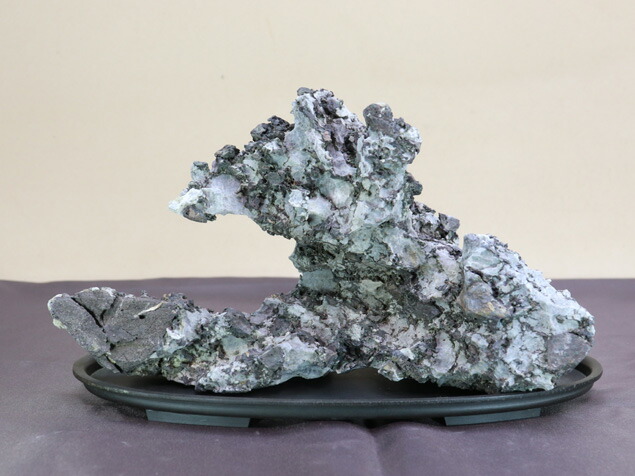 楽天市場】【現品】 竜眼石 (京都丹波産) No.3741【盆栽】【山