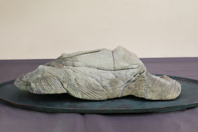 楽天市場】【水石】 宇和島 抹香石 （愛媛） 天然 【自然石 鑑賞石