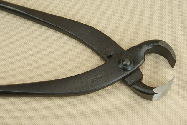 楽天市場】昌国作NO.15 根切（小）【昌国】【盆栽】 : 刃物の政豊 楽天