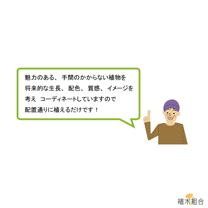 前栽硬化 M ガーリー 労働階級締め括る 置き場プラン 必携 肥 手袋付き添い人 植木ユニオン原版 ファッショナブルな園庭に 人望の 植木 庭木 ガーデンプランツ ガーデニング 植木組合一層旧里直送 植木栽培組合直営 Effie Europe Com