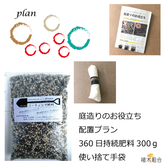 ガーデンセット M ガーリー プロ監修 配置案 ガイド 肥料 手袋付き 植木組合オリジナル おしゃれな庭に 人気の 植木 庭木 ガーデンプランツ ガーデニング 植木組合より産地直送 植木生産組合直営 Propaint Hu