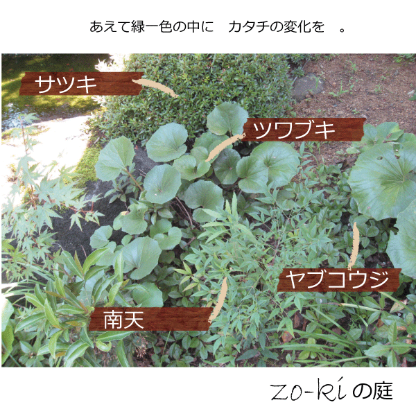 選ぶなら ヤブコウジ 藪柑子 十両 雑木の庭 9ｃｍまたは10 5ｃｍポット入り 常緑 人気の ガーデンプランツ 下草 苗 ガーデニング 植木組合より産地直送 やぶこうじ 只今実付き苗ではありません Mediquickfl Com