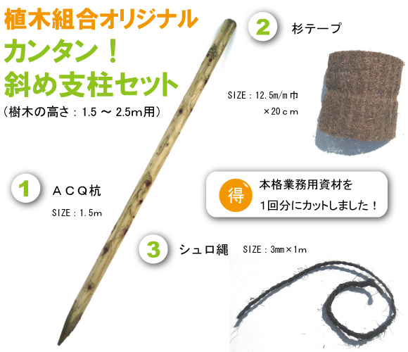 楽天市場 カンタン 斜め支柱セット 150ｃｍ杭 シュロ縄 杉皮 付き 植木組合オリジナル 台風 強風対策 Acq 高品質 国産木材使用 植え込み用 植木組合