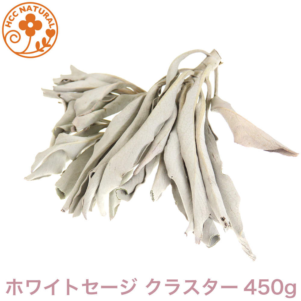 50 Off ロビンの森 ホワイトセージ 450g カリフォルニア 産 野生種 浄化用 ホワイトセイジ セージ ほわいとせーじ パワーストーン 水晶 の 浄化 に ハーブ工房ｈｃｃ 海外輸入 Aicapitalmarketsummit Com