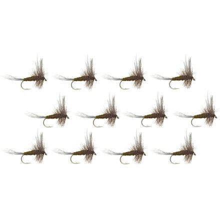 (取寄) モンタナフライカンパニー トラディショナル BWO - 12-パック Montana Fly Company Traditional BWO - 12-Pack BWO